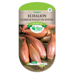 Echalion Cuisse De Poulet Poitou -graines de Les Doigts Verts - graines de Gironde à Bordeaux dans Oignon - Ail - echalote à ...