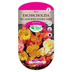 Eschscholtzia Californie Double -graines de Les Doigts Verts - graines de Gironde à Bordeaux dans Graines de fleurs en E