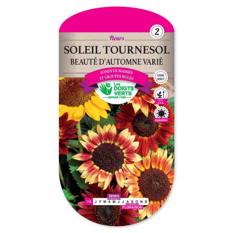 Soleil Beaute D'Automne Varie -graines de Les Doigts Verts - graines de Gironde à Bordeaux dans Graines de fleurs en S