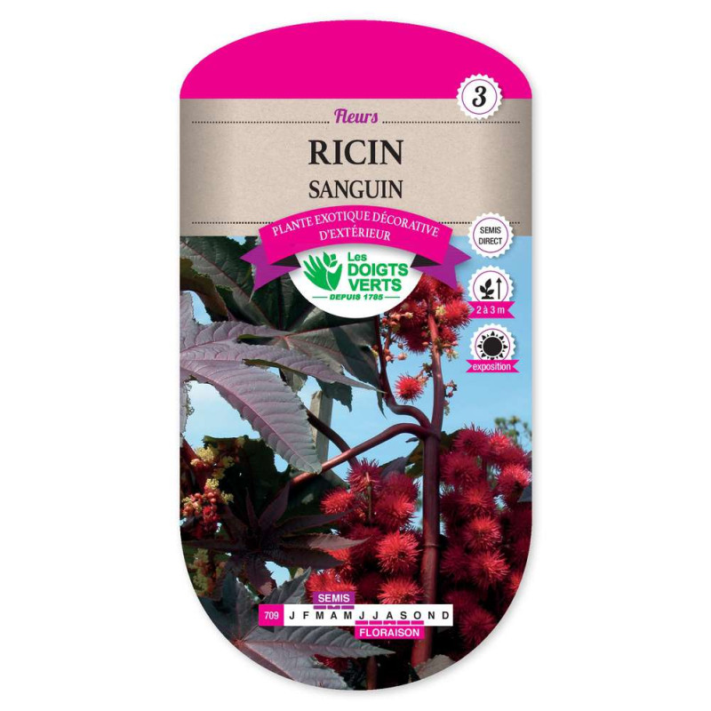 Ricin Sanguin -graines de Les Doigts Verts - graines de Gironde à Bordeaux dans Graines de fleurs en R