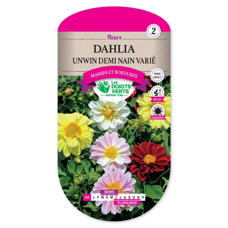 Dahlia Unwins Ideal 1/2 N. Varie -graines de Les Doigts Verts - graines de Gironde à Bordeaux dans Graines de fleurs en D