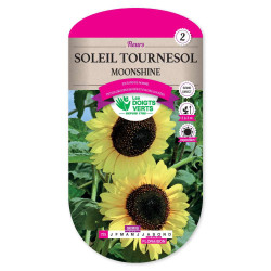 Soleil Tournesol Moonshine -graines de Les Doigts Verts - graines de Gironde à Bordeaux dans Graines de fleurs en S