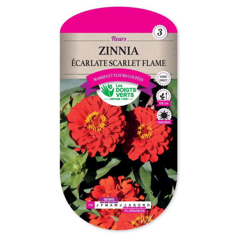 Zinnia Ecarlate Scarlet  Flame -graines de Les Doigts Verts - graines de Gironde à Bordeaux dans Graines de fleurs en Z
