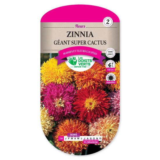 Zinnia Geant Super Cactus -graines de Les Doigts Verts - graines de Gironde à Bordeaux dans Graines de fleurs en Z