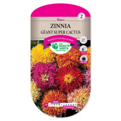 Zinnia Geant Super Cactus -graines de Les Doigts Verts - graines de Gironde à Bordeaux dans Graines de fleurs en Z