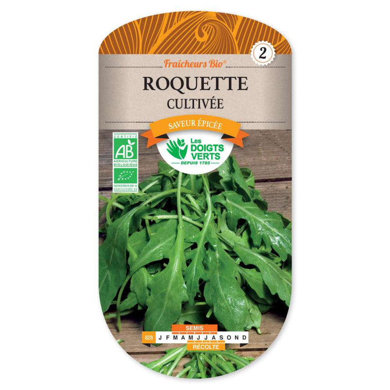 Roquette Cultivee Fraich.Bio -graines de Les Doigts Verts - graines de Gironde à Bordeaux dans Graines de Roquette