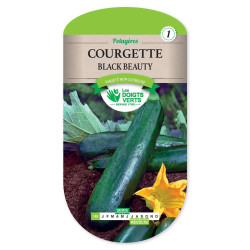 Courgette Black Beauty -graines de Les Doigts Verts - graines de Gironde à Bordeaux dans Graines de Courgette - Courge