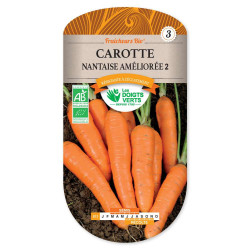 Carotte Nantaise Amel.2 Fraic.Bio -graines de Les Doigts Verts - graines de Gironde à Bordeaux dans Graines de Carotte