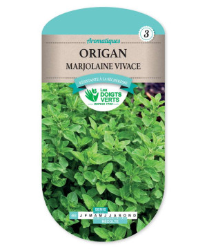 Origan Marjolaine Vivace -graines de Les Doigts Verts - graines de Gironde à Bordeaux dans Graines d'autres aromatiques