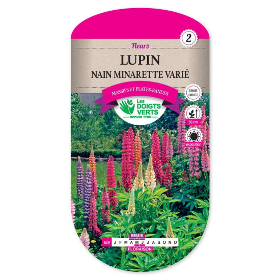 Lupin Nain Minarette -graines de Les Doigts Verts - graines de Gironde à Bordeaux dans Graines de fleurs en L
