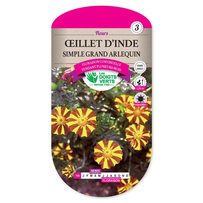 Oeillet D'Inde Sple Grand Arlequin -graines de Les Doigts Verts - graines de Gironde à Bordeaux dans Graines de fleurs en O