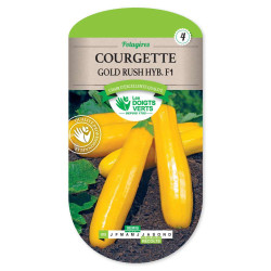 Courgette Gold Rusch Hyb.F1 -graines de Les Doigts Verts - graines de Gironde à Bordeaux dans Graines de Courgette - Courge
