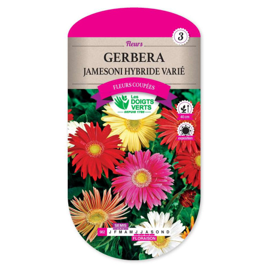 Gerbera Hybride  Varie -graines de Les Doigts Verts - graines de Gironde à Bordeaux dans Graines de fleurs en G
