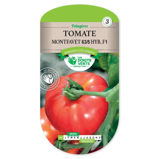 Tomate Montfavet H 63/5 Hyb.F1 -graines de Les Doigts Verts - graines de Gironde à Bordeaux dans Graines de Tomate