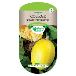 Courge Spaghetti Vegetal -graines de Les Doigts Verts - graines de Gironde à Bordeaux dans Graines de Courgette - Courge