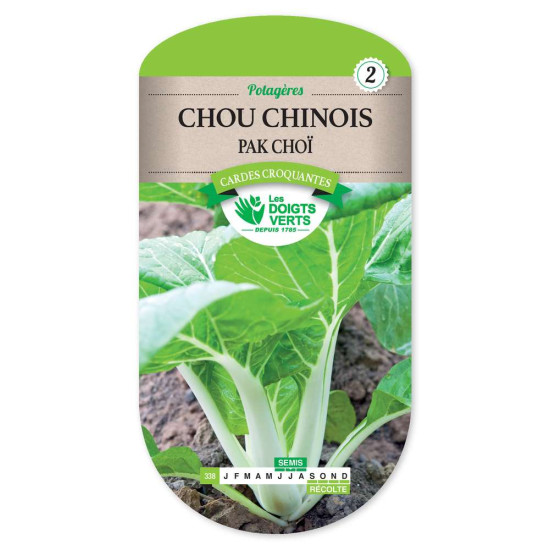 Chou Chinois Pak Choi -graines de Les Doigts Verts - graines de Gironde à Bordeaux dans Graines de Chou