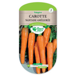 Carotte Nantaise Amel.4 Garo -graines de Les Doigts Verts - graines de Gironde à Bordeaux dans Graines de Carotte