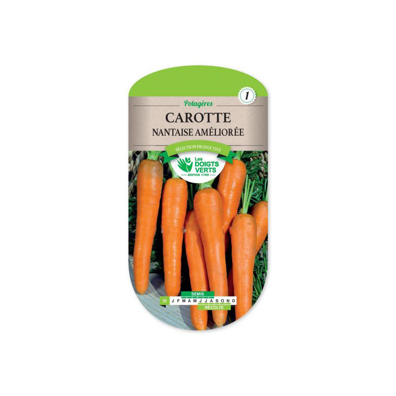 Carotte Nantaise Amel.4 Garo -graines de Les Doigts Verts - graines de Gironde à Bordeaux dans Graines de Carotte