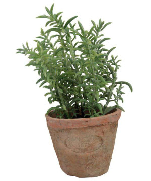 POT THYM PM de Esschert design - deco maison et jardin dans 🏠 Maison