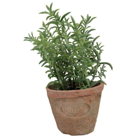 POT THYM PM de Esschert design - deco maison et jardin dans 🏠 Maison