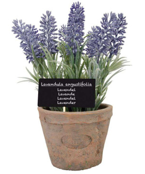 POT LAVANDE GM de Esschert design - deco maison et jardin dans 🏠 Maison