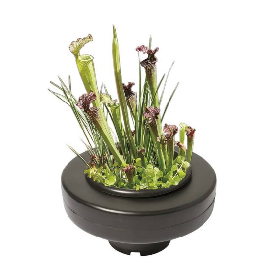 PANIER PLANTE FLOTTANT 22CM de Superfish - Aquadistri - accessoires pour aquarium et bassin dans Accessoires pour plantes de ...