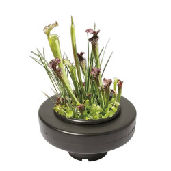 PANIER PLANTE FLOTTANT 22CM de Superfish - Aquadistri - accessoires pour aquarium et bassin dans Accessoires pour plantes de ...