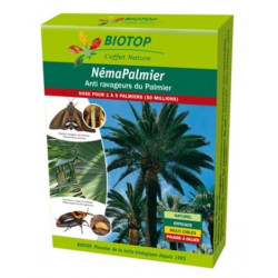 Nemapalmier 50 M Biotop de Biotop - Traitement bio, insectes pour plantes dans Phéromone et nématode