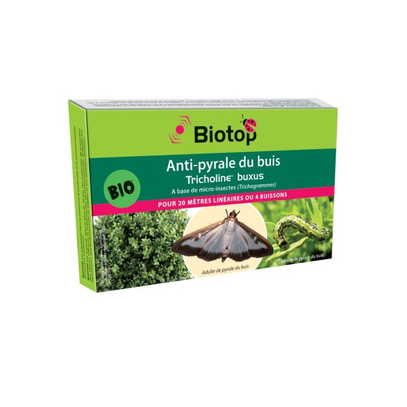Anti-Pyrale Du Buis 4 Diffuseurs Biotop de Biotop - Traitement bio, insectes pour plantes dans Phéromone et nématode