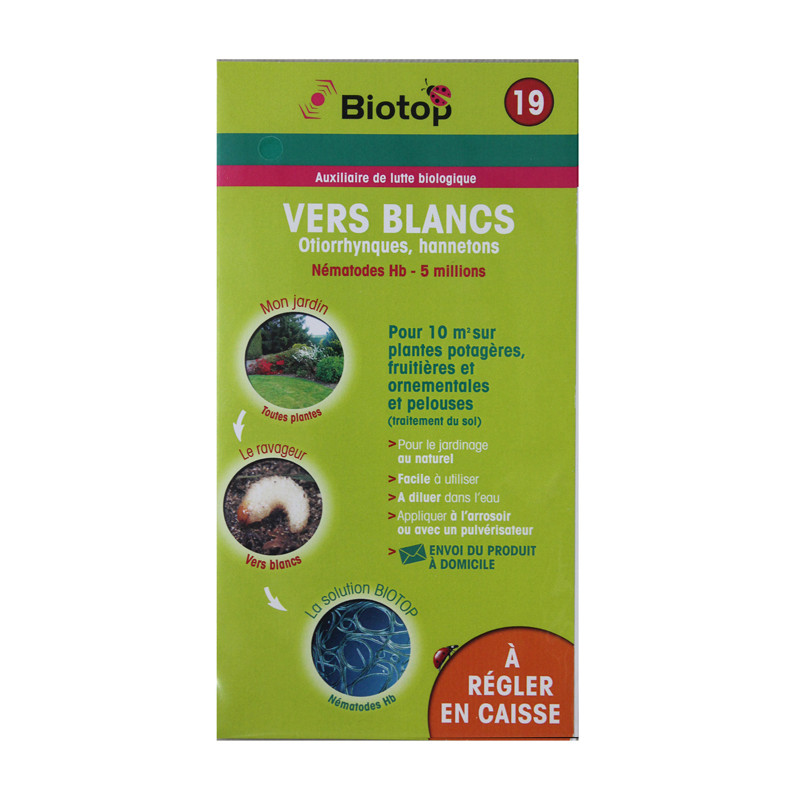 Pochette Nematode Hb 5 M Vers Blanc Biotop de Biotop - Traitement bio, insectes pour plantes dans Phéromone et nématode