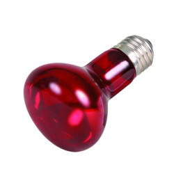 LAMPE SPOT INFRAROUGE 35 W de Trixie - Produit pour animaux dans Lumière pour reptiles