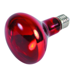 LAMPE SPOT INFRAROUGE 150 W de Trixie - Produit pour animaux dans Lumière pour reptiles