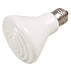 Ampoule Ceramique. 75X100Mm. 50 W de Trixie - Produit pour animaux dans Thermometre - hygrometre
