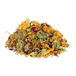 MELANGE DE FLEURS POUR REPTILES 75G de Trixie - Produit pour animaux dans Complement nutritionnels reptiles