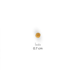 Chat Young sterilise Poulet 300g de Hill's - croquette pour chien et chat dans Croquettes pour chats