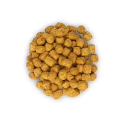 Chat Young sterilise Poulet 300g de Hill's - croquette pour chien et chat dans Croquettes pour chats