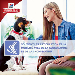 chien Mature Adult 7+ Medium Poulet 12kg - Hill' de Hill's - croquette pour chien et chat dans Hill's pour chiens