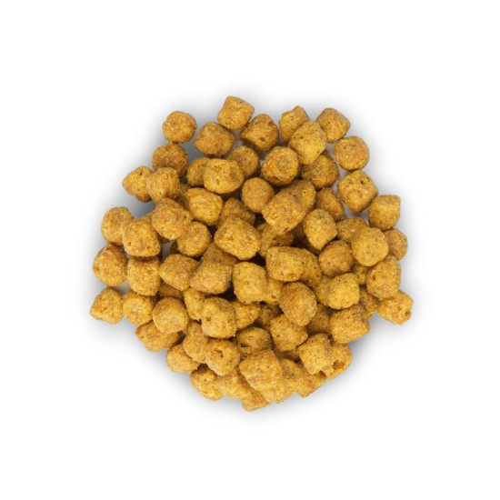 Chat Adult Urinary Health Poulet 1.5kg - Hill's de Hill's - croquette pour chien et chat dans Croquettes pour chats