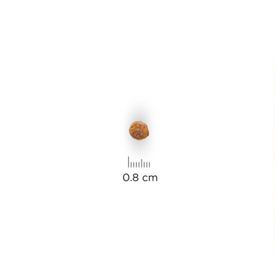chien Puppy Small & Mini Poulet 1.5kg de Hill's - croquette pour chien et chat dans Hill's pour chiens