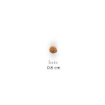 chien Puppy Small & Mini Poulet 1.5kg de Hill's - croquette pour chien et chat dans Hill's pour chiens