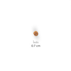 chien Mature Adult 7+ Small & Mini Poulet 1.5kg de Hill's - croquette pour chien et chat dans Hill's pour chiens