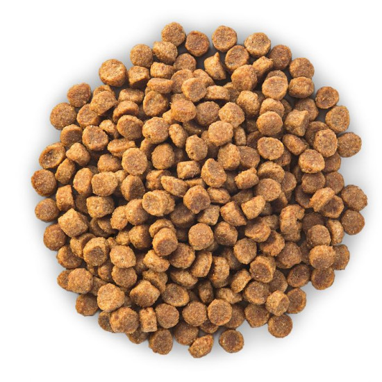 chien Mature Adult 7+ Small & Mini Poulet 1.5kg de Hill's - croquette pour chien et chat dans Hill's pour chiens