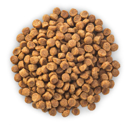 chien Mature Adult 7+ Small & Mini Poulet 1.5kg de Hill's - croquette pour chien et chat dans Hill's pour chiens