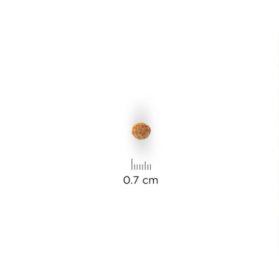 chien Senior 11+ Small & Mini Poulet 1.5kg - Hil de Hill's - croquette pour chien et chat dans Hill's pour chiens