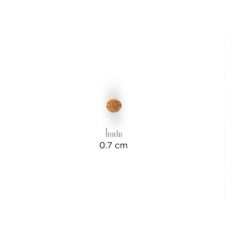 chien Senior 11+ Small & Mini Poulet 1.5kg - Hil de Hill's - croquette pour chien et chat dans Hill's pour chiens