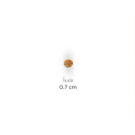 chien Senior 11+ Small & Mini Poulet 1.5kg - Hil de Hill's - croquette pour chien et chat dans Hill's pour chiens