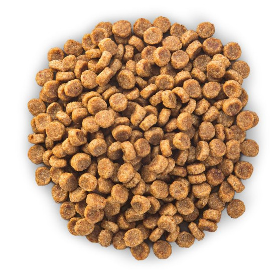 chien Senior 11+ Small & Mini Poulet 1.5kg - Hil de Hill's - croquette pour chien et chat dans Hill's pour chiens