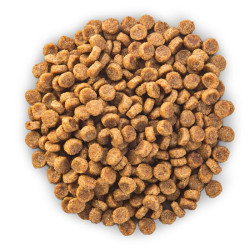 chien Senior 11+ Small & Mini Poulet 1.5kg - Hil de Hill's - croquette pour chien et chat dans Hill's pour chiens