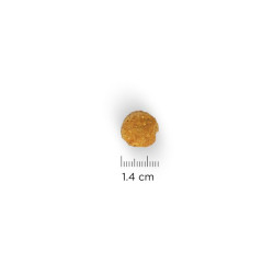 CHIEN ADULT MEDIUM POULET 2.5KG - Hill's de Hill's - croquette pour chien et chat dans Hill's pour chiens