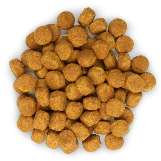 CHIEN ADULT MEDIUM POULET 2.5KG - Hill's de Hill's - croquette pour chien et chat dans Hill's pour chiens